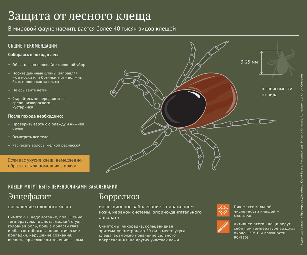 Защита от лесного клеща - Sputnik Латвия