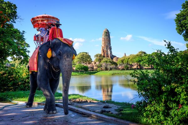 Туристы едут на слоне перед старым буддийским храмом в Аюттхае, примерно в 70 км к северу от Бангкока, Таиланд - Sputnik Латвия