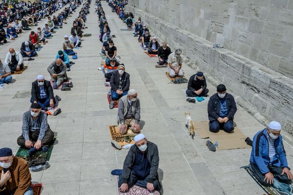 Кот среди верующих, соблюдающих социальную дистанцию, на пятничной молитве возле мечети Фатих в Стамбуле, Турция - Sputnik Латвия