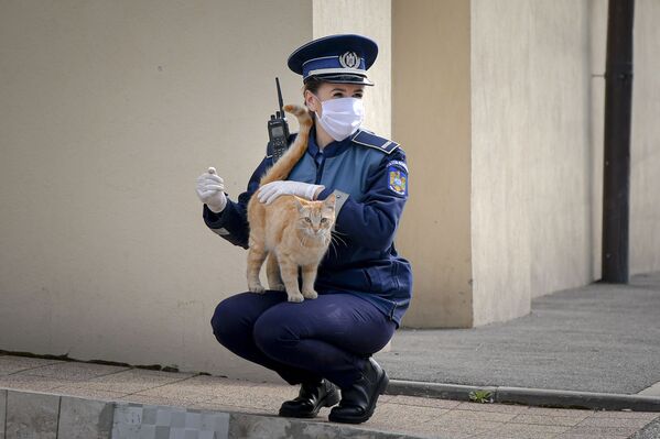 Женщина-полицейский играет с кошкой возле церкви в Вербное воскресенье в Бухаресте, Румыния - Sputnik Латвия