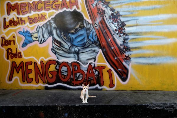 Котенок на фоне граффити о защите от коронавируса на окраине Джакарты, Индонезия - Sputnik Латвия