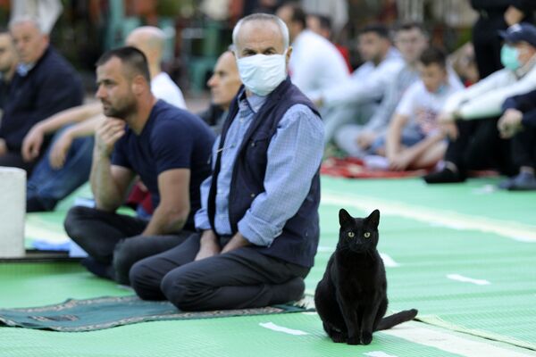 Кошка среди молящихся мусульман возле мечети Коконоз в Тиране, Албания Кошка среди молящихся мусульман возле мечети Коконоз в Тиране, Албания - Sputnik Латвия