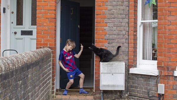 Юный футболист на пороге своего дома и соседский кот, заглядывающий через дверь, Великобритания - Sputnik Латвия