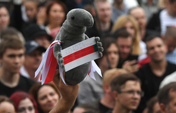 Игрушка в руках участника митинга оппозиции на площади Независимости в Минске - Sputnik Латвия