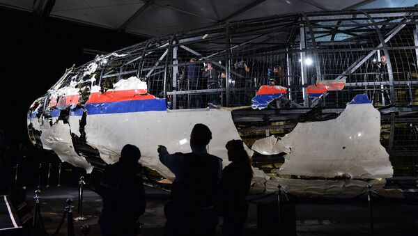 Доклад Совета безопасности Нидерландов по причинам крушения Boeing 777 - Sputnik Latvija