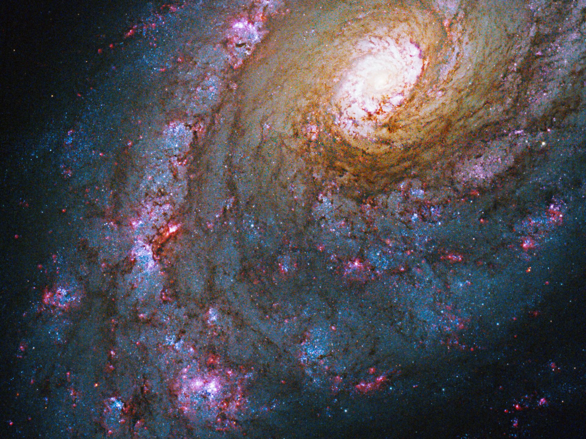 Галактики NGC 5584