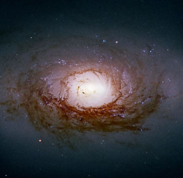 Galaktika NGC 3626 Lauvas zvaigznājā Galaktika NGC 3626 Lauvas zvaigznājā - Sputnik Latvija