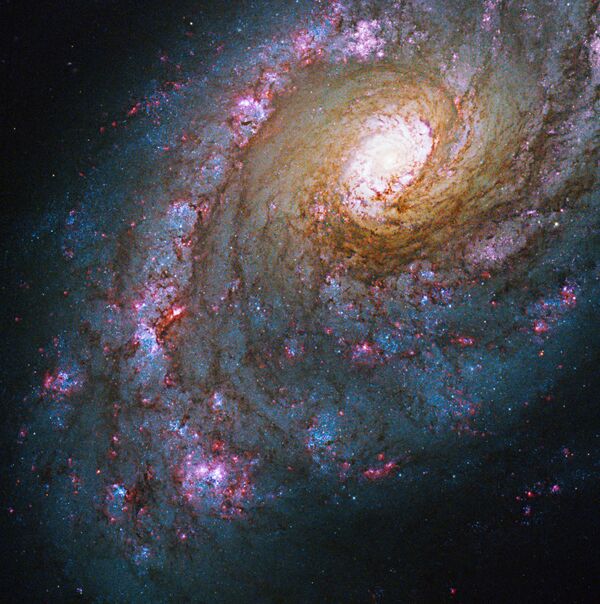 Galaktika NGC 5248 Vēršu dzinēja zvaigznājā Galaktika NGC 5248 Vēršu dzinēja zvaigznājā - Sputnik Latvija