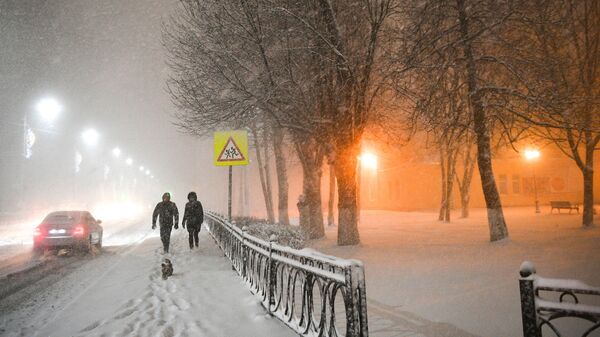 Люди идут по улице во время снегопада - Sputnik Латвия