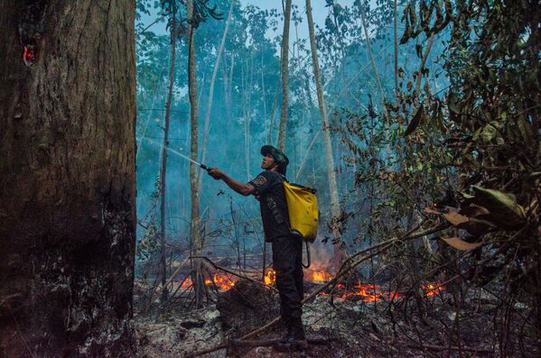 Тушение лесных пожаров в Бразилии - Sputnik Латвия