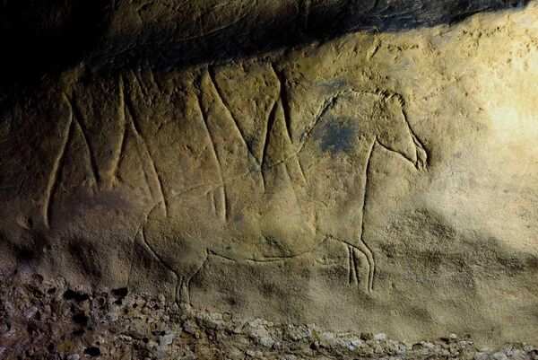 Настенные рисунки в пещере Фонт-Мажор в Испании  - Sputnik Латвия