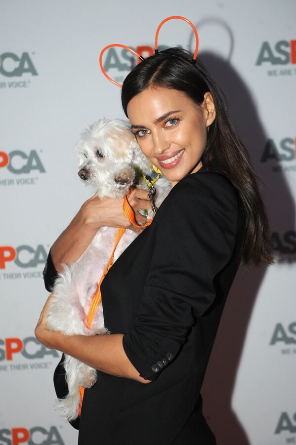 Ирина Шейк на благотворительном вечере ASPCA Young Friends Benefit в Нью-Йорке Ирина Шейк на благотворительном вечере ASPCA Young Friends Benefit в Нью-Йорке - Sputnik Латвия