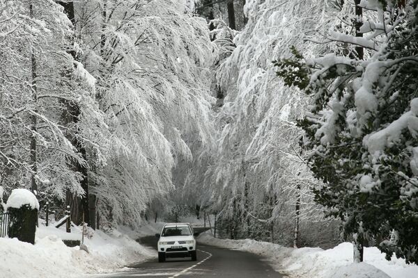 Автомобиль проезжает под покрытыми снегом деревьями на Корсике  - Sputnik Латвия