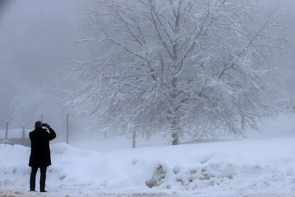 Мужчина фотографирует покрытое снегом дерево на Корсике  - Sputnik Latvija