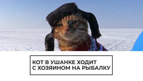 Kaķis makšķernieks - Sputnik Latvija