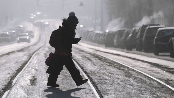 Школьник переходит дорогу - Sputnik Латвия