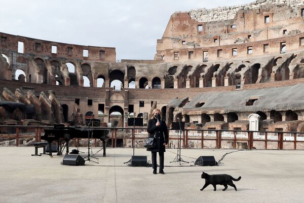 Кошка идет перед ведущей концерта в Колизее, который открылся после снятия ограничений в Риме - Sputnik Латвия