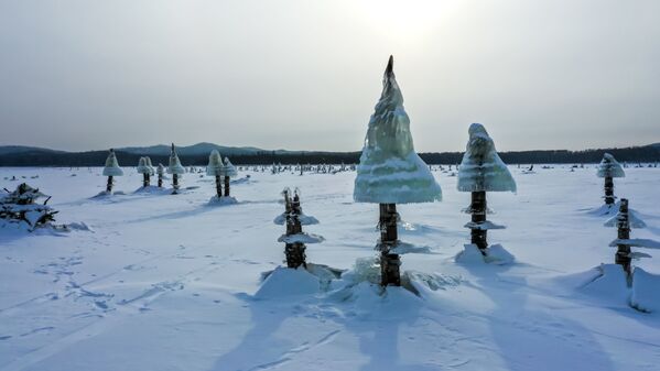Ледяные грибы на Дальнем Востоке  - Sputnik Latvija