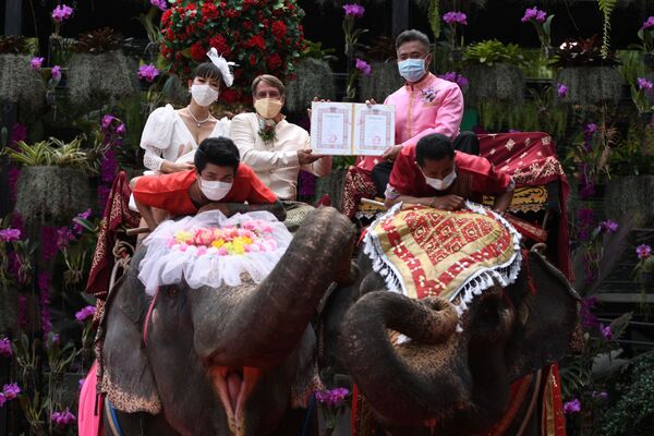 Молодожены с сертификатами о браке на слонах в Таиланде  - Sputnik Латвия