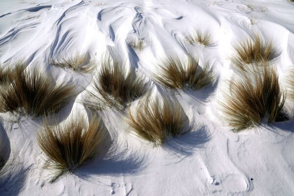 Трава в снегу в парке Scissortail во время рекордно холодной погоды в Оклахома-Сити, штат Оклахома - Sputnik Latvija