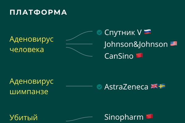 Вакцины от COVID-19: на каких платформах основаны вакцины Вакцины от COVID-19: на каких платформах основаны вакцины - Sputnik Латвия