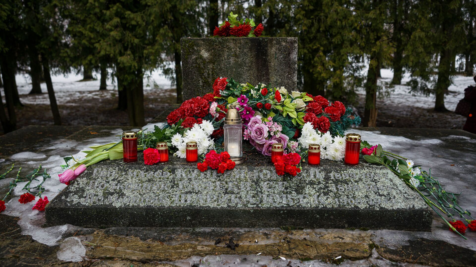 В ночь на 24 февраля в Екабпилсе вандалы украли пушку ЗиС-3 с могилы героев-освободителей Екабпилса от нацистских захватчиков - Sputnik Латвия, 1920, 15.08.2022