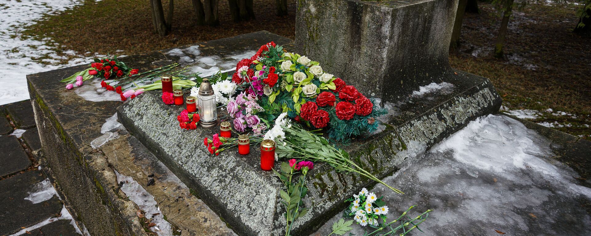В ночь на 24 февраля в Екабпилсе вандалы украли пушку ЗиС-3 с могилы героев-освободителей Екабпилса от нацистских захватчиков - Sputnik Латвия, 1920, 17.01.2022