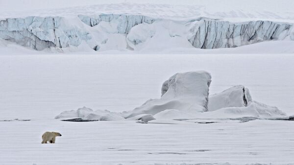 Белый медведь на льдине в Северном Ледовитом океане - Sputnik Latvija