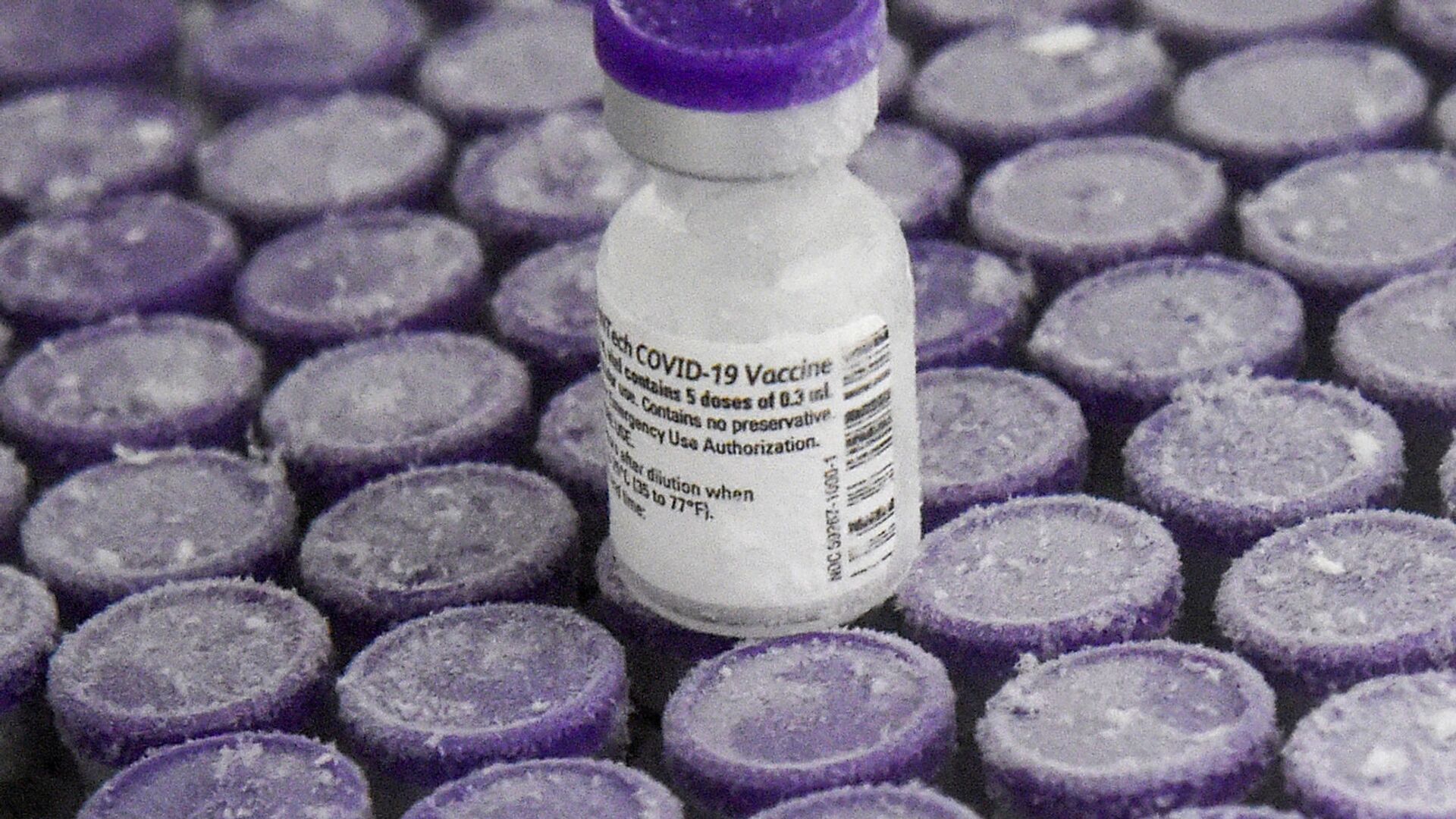 Вакцина от COVID-19 производства компании Pfizer - Sputnik Latvija, 1920, 13.04.2021