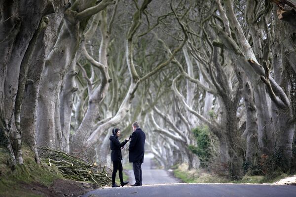 Dižskābaržu aleja Dark Hedges ir ļoti slavena. Žurnālisti daudz rakstīja par divu divsimt gadus vecu koku bojāeju pēc vētras 2016. gadā Dižskābaržu aleja Dark Hedges ir ļoti slavena. Žurnālisti daudz rakstīja par divu divsimt gadus vecu koku bojāeju pēc vētras 2016. gadā - Sputnik Latvija