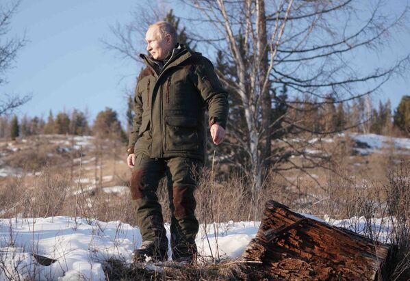 Президент РФ Владимир Путин во время прогулки в тайге Президент РФ Владимир Путин во время прогулки в тайге - Sputnik Латвия