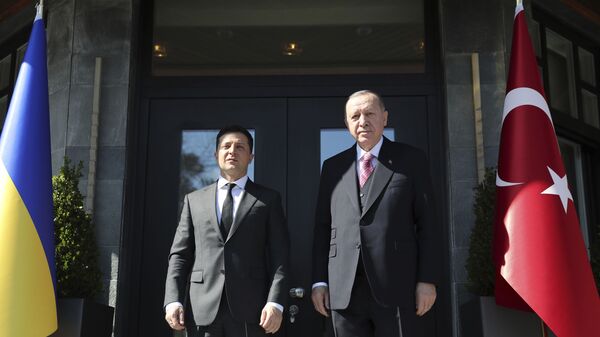 Президент Украины Владимир Зеленский и президент Турции Реджеп Тайип Эрдоган - Sputnik Латвия