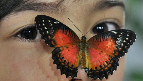 Бабочка на лице девушки, Бишкек  - Sputnik Латвия