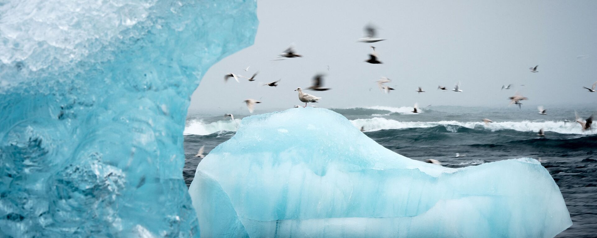 Летающие над айсбергом чайки в лагуне Йёкюльсаурлоун в Исландии - Sputnik Латвия, 1920, 08.11.2021