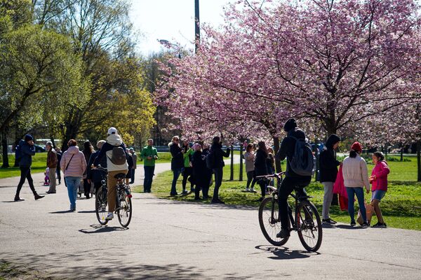 Ik pavasari rīdzinieki dodas uz Uzvaras parku ieelpot pavasari un izbaudīt krāšņas sakuras Ik pavasari rīdzinieki dodas uz Uzvaras parku ieelpot pavasari un izbaudīt krāšņas sakuras - Sputnik Latvija