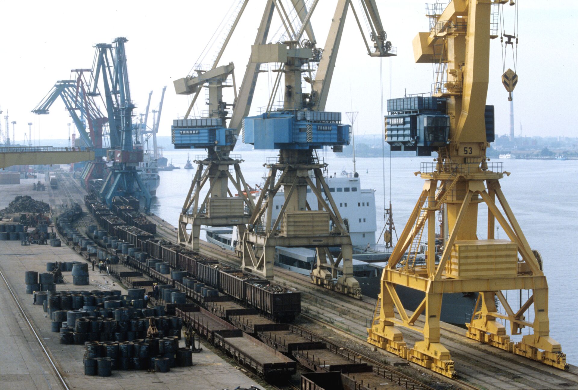 Росток Росток - Sputnik Латвия, 1920, 01.06.2021