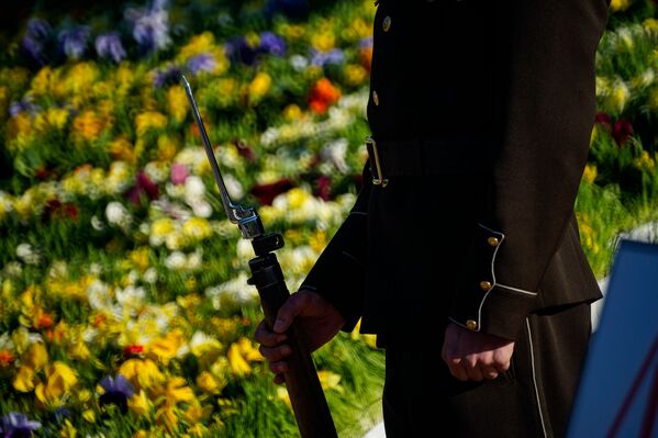 Goda sardzes karavīrs pie Brīvības pieminekļa Goda sardzes karavīrs pie Brīvības pieminekļa - Sputnik Latvija