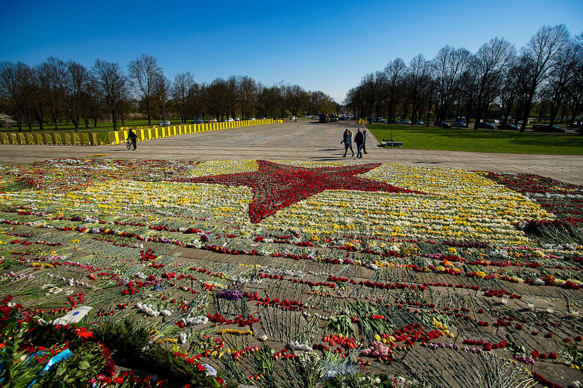Звезда из цветов, выложенная волонтерами у памятника Освободителям Риги - Sputnik Латвия, 1920, 01.06.2021