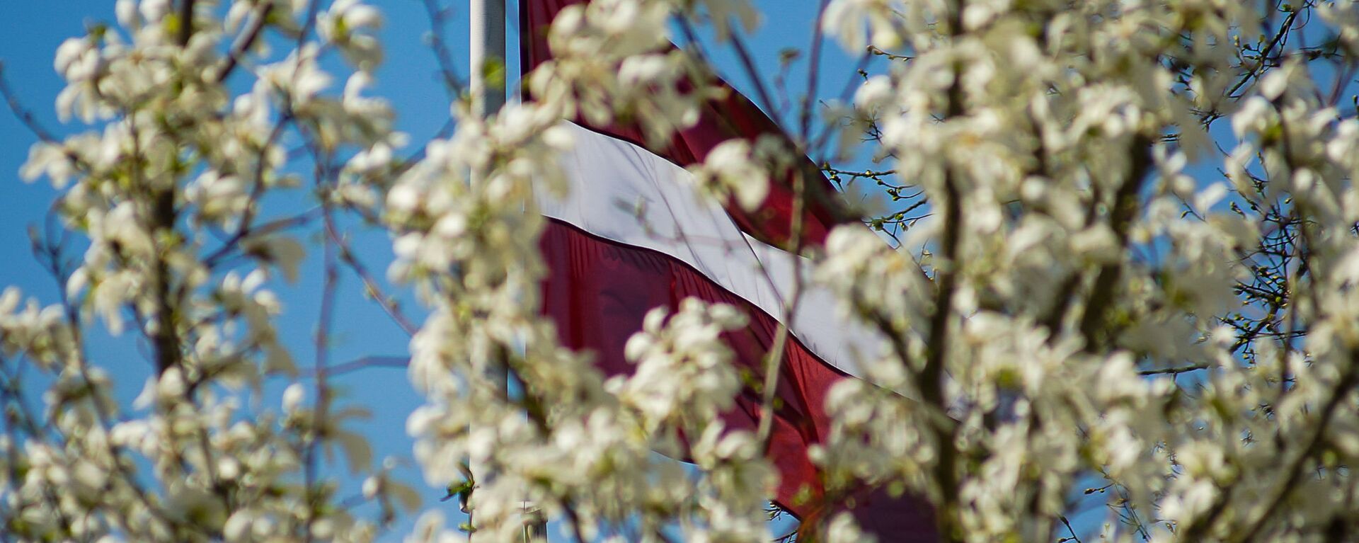 Флаг Латвии - Sputnik Латвия, 1920, 15.06.2021