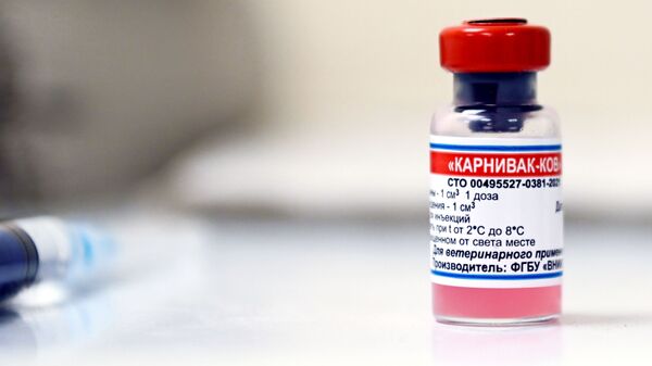 Препарат Карнивак-Ков, первая в мире вакцина против COVID-19 для животных, которой прививают животных в ветеринарной клинике в Москве - Sputnik Latvija