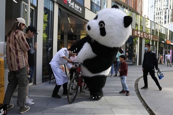 Человек в костюме панды пытается ехать на велосипеде в Пекине, 2 мая 2021 года. - Sputnik Латвия