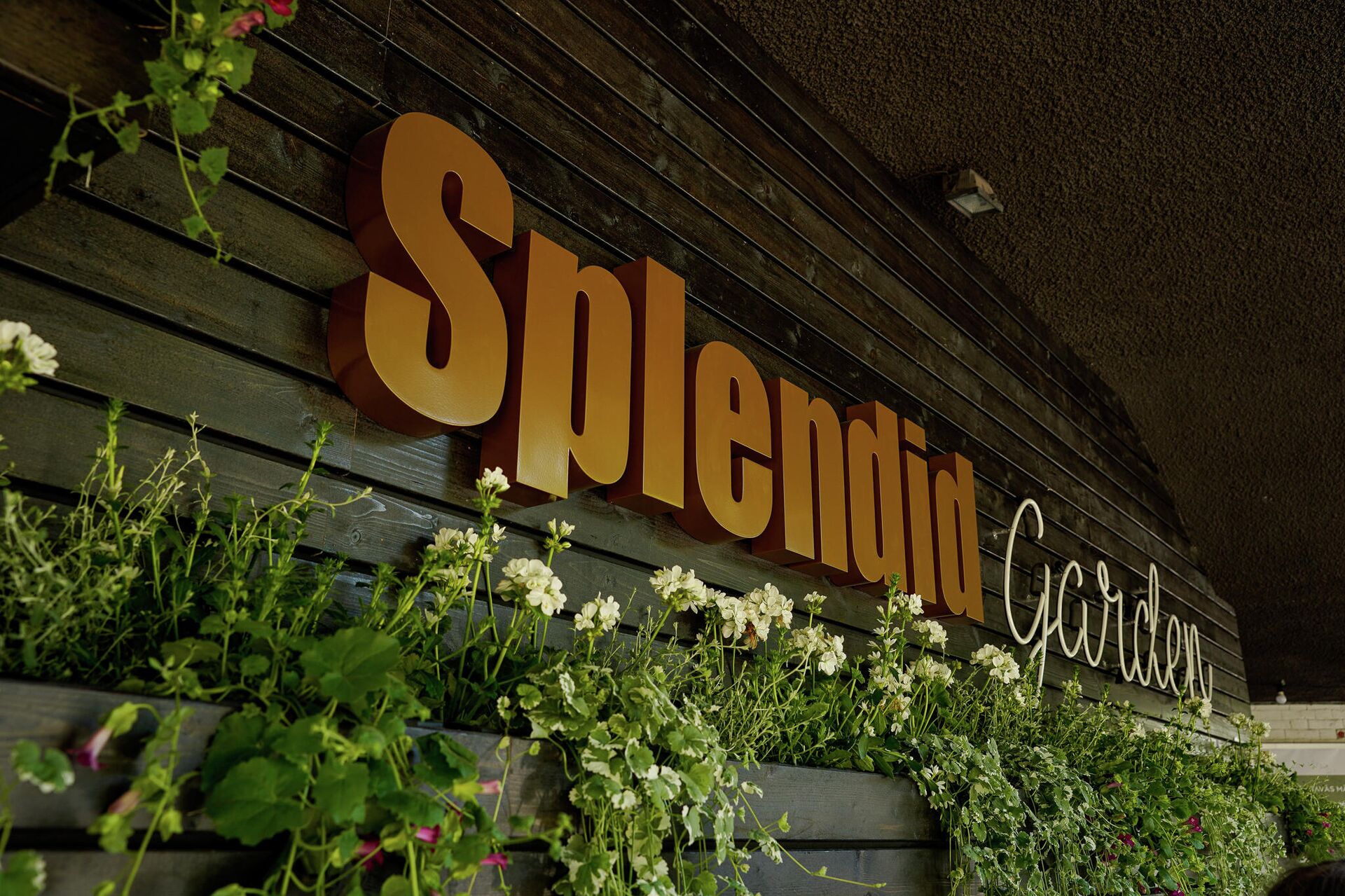 Открытие кинотеатра на открытом воздухе Splendid Garden в Риге Открытие кинотеатра на открытом воздухе Splendid Garden в Риге - Sputnik Латвия, 1920, 13.06.2021