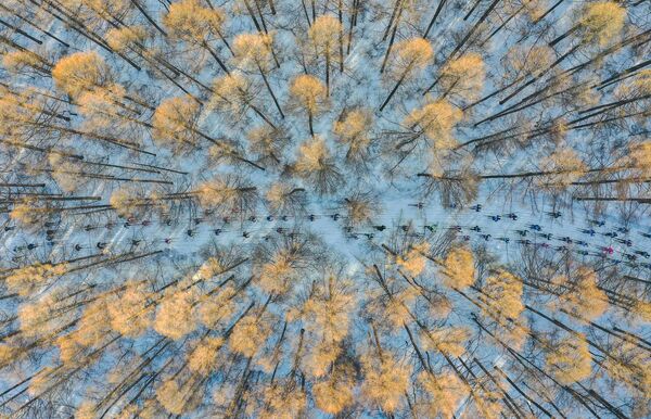  Ķīniešu fotogrāfa Chang XU darbs &quot;Ar slēpēm uz pavasari&quot; kategorijā &quot;Mana Planēta, atsevišķas bildes&quot;. - Sputnik Latvija