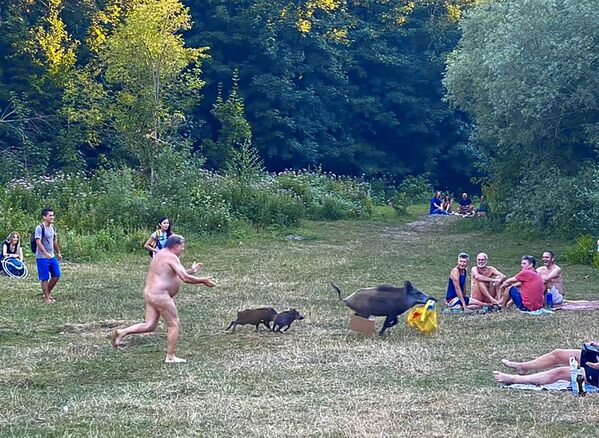  Kails vīrietis dzenas pakaļ mežacūkai, kas nozaga viņa klēpjdatoru, kamēr cilvēks atpūtās ezera krastā Berlīnē, 2020. gada 5. augusts - Sputnik Latvija