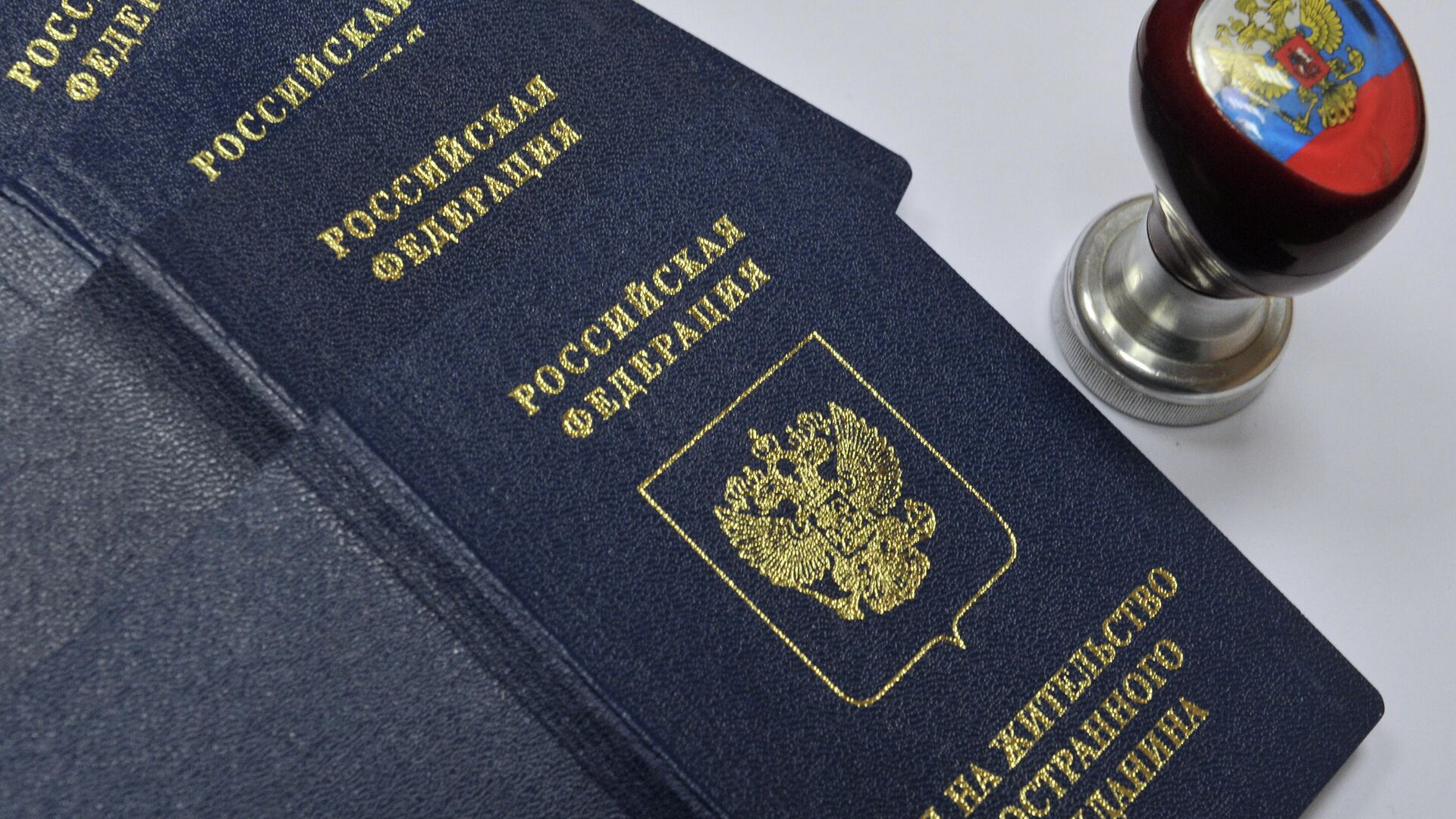 Вид на жительство иностранного гражданина в отделении по вопросам гражданства РФ - Sputnik Латвия, 1920, 28.03.2022