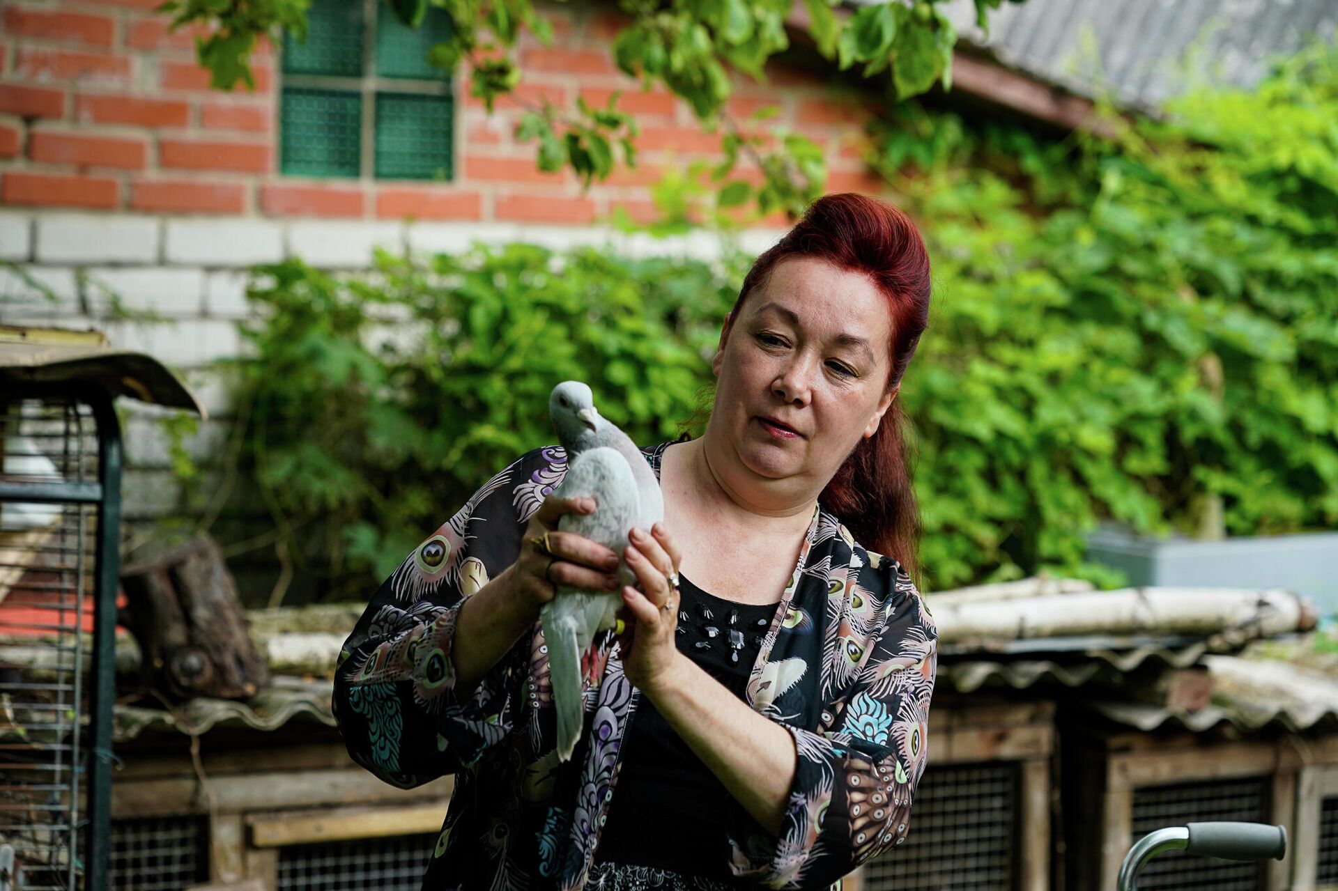 Елена Кустова с голубем породы Николаевский тучерез Елена Кустова с голубем породы Николаевский тучерез - Sputnik Латвия, 1920, 12.07.2021