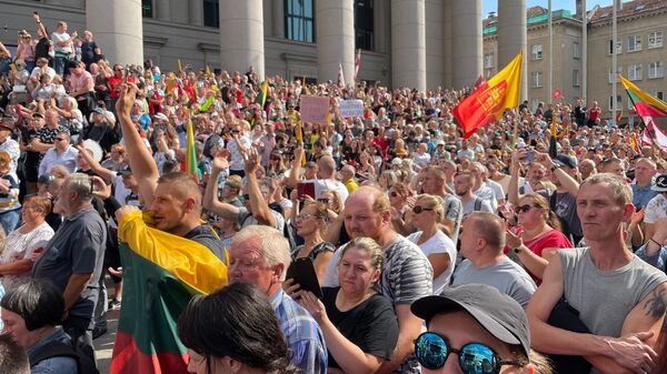 Митинг у здания Сейма Литвы - Sputnik Латвия
