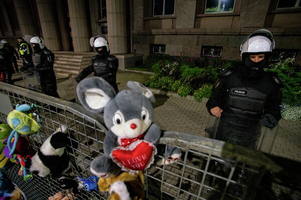 Митингующие принесли множество плюшевых игрушек на акцию протеста, чтобы показать мирные намерения Митингующие принесли множество плюшевых игрушек на акцию протеста, чтобы показать мирные намерения - Sputnik Латвия