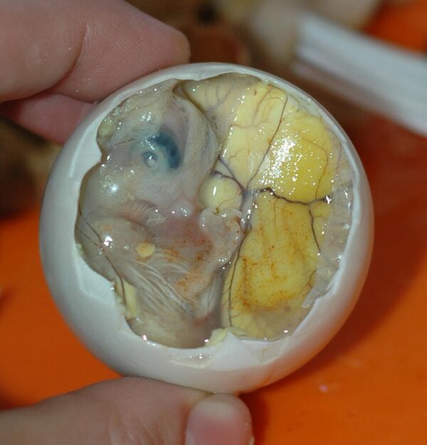 Pirmajā vietā blogeris ierindoja balutu. Iemesls ir saprotams. Tās ir pīļu olas ar nobriedušu putnēna embriju. Stāsta, ka garša nav tik riebīga kā paskats - Sputnik Latvija