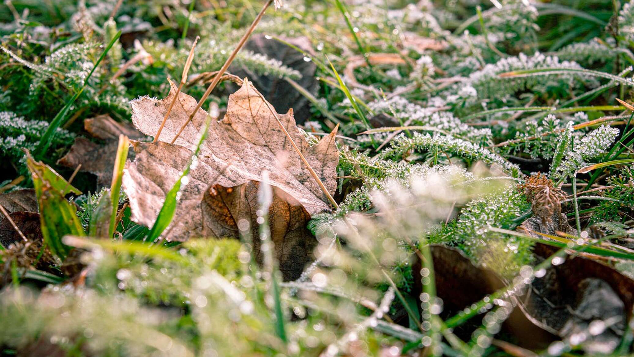 Зима близко: кто согреет Украину - 28.10.2021, Sputnik Латвия